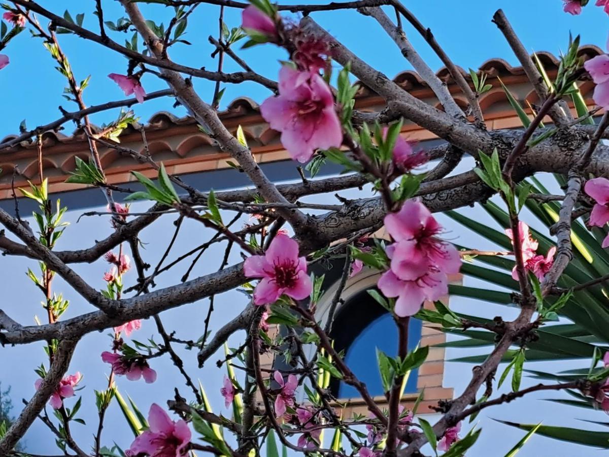 Maison Les Agapanthes Villeneuve-les-Beziers ภายนอก รูปภาพ